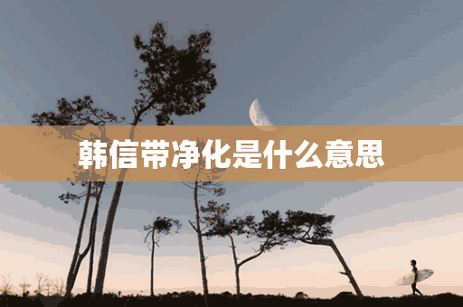 韩信带净化是什么意思